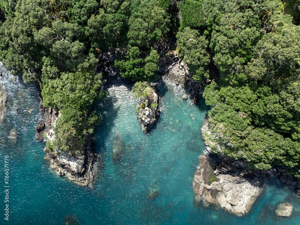 Rugged coastline and pohutukawa grove of Hicks Bay, Gisborne, New Zealand.