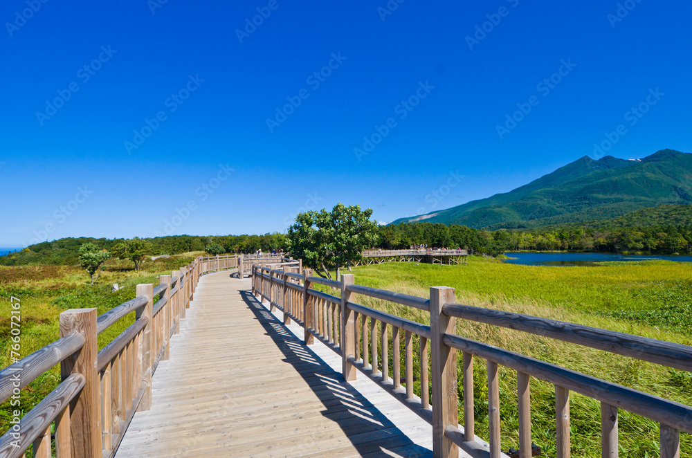 Fototapeta Boardwalk at Shiretoko national park  in Hokkaido prefecture, Japan
