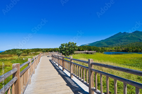 Obraz na plátne Boardwalk at Shiretoko national park  in Hokkaido prefecture, Japan
