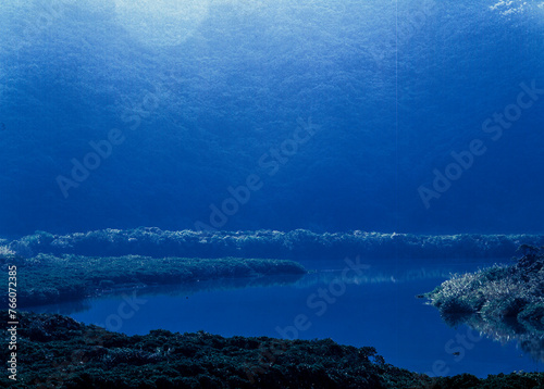 奄美の自然、水の島奄美 photo