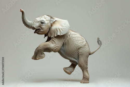 levitating of elephant animal on plain background