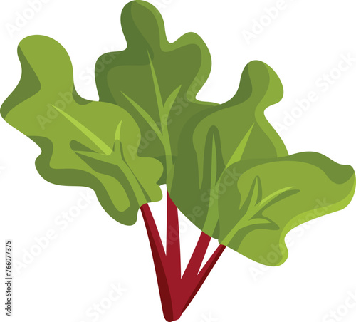 Rhubarb Plant Vector Cartoon Illustration on White Background. Delicious plant good for vegetarian diet and nutritious snacking
