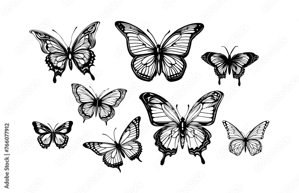 Butterfly Illustration Set 1 Butterfly Illustration Set 1