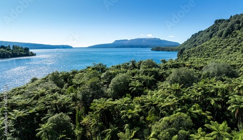 Aerial: Forest and calm waters of Lake Tarawera, Rotorua, Bay of Plenty, New Zealand. photo