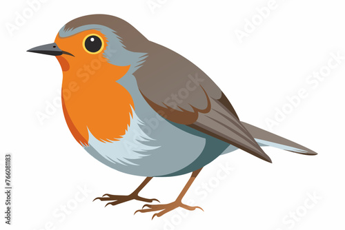 the-robin-white-background.