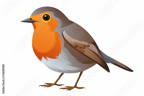 the-robin-white-background.