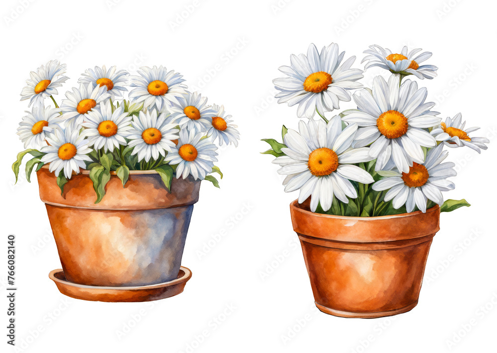 2 flower pots, White daisies in terra cotta pot, rustic aged finish, farmhouse style pot, white flowers, garden, nature, scrapbook elements, journaling, presentation, ad promotion, cutout on white 2 flower pots, White daisies in terra cotta pot, rustic aged finish, farmhouse style pot, white flowers, garden, nature, scrapbook elements, journaling, presentation, ad promotion, cutout on white
