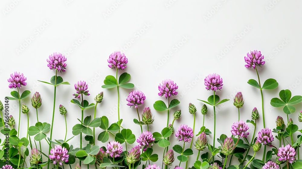 Over a white setting, purple clover blooms are encased by clover stalks and space in the middle, Generative AI.