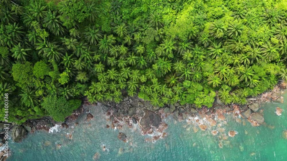 Top down drone shot above palm trees and a rocky coast in Sao Tome, Africa