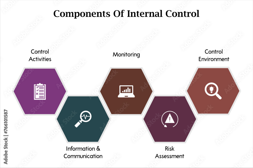 Five components of internal Control Control Activities, Information