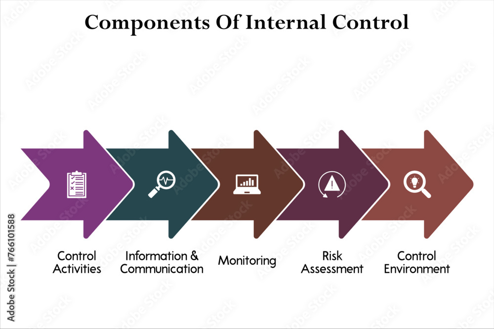 Five components of internal Control Control Activities, Information