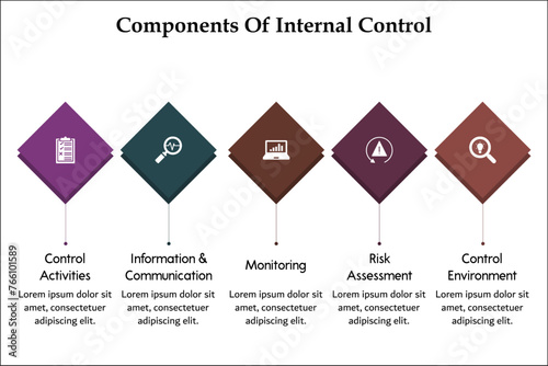 Five components of internal Control - Control Activities, Information and communication, monitoring, Risk assessment, Control Environment. Infographic template with icons and description placeholder
