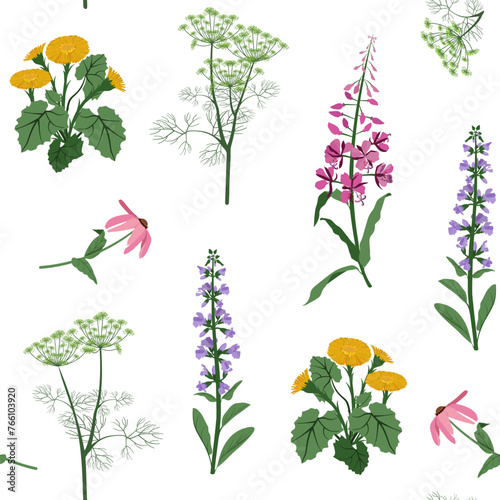 Wildflowers on a white background. Summer seamless vector illustration.