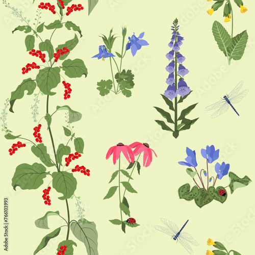 Seamless vector illustration with cyclamen, chamomile, digitalis, ladybug and dragonflies