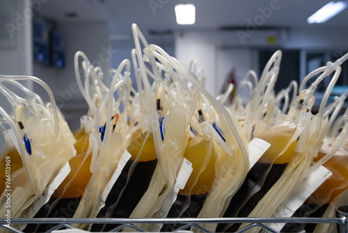 Tableau sur toile Bags of whole blood donated to obtain plasma, erythrocytes, platelets and leukocytes