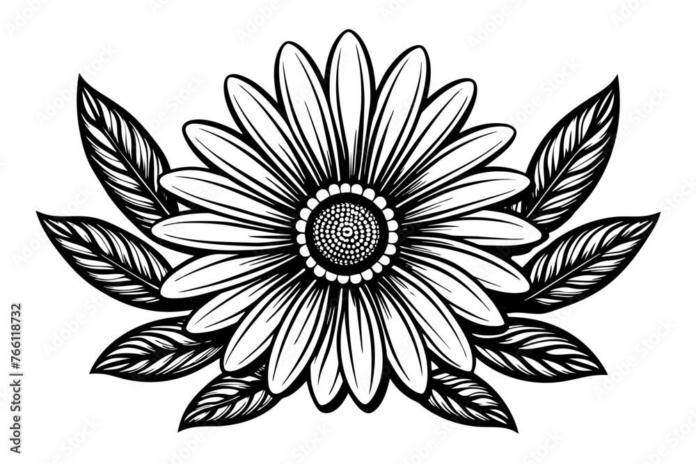 chamomile--illustrations-of-daisy-flowers-and-leva