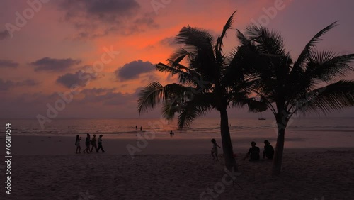Tropical Sunset Serenity by the Beach photo