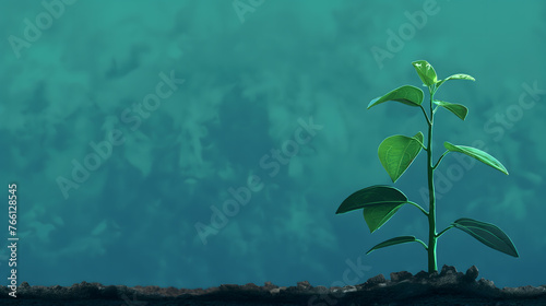 Young Plant Emerging from Soil Against a Teal Sky Background