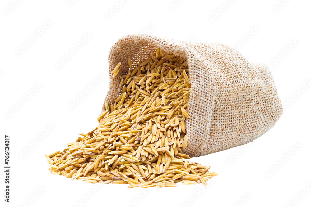 Rice of paddy Golden yellow in a sack on file png