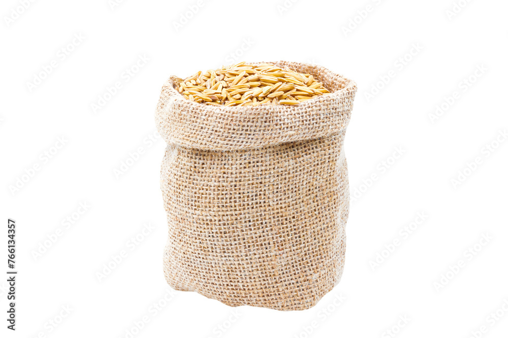 Rice of paddy Golden yellow in a sack on file png