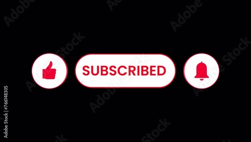Subscribe and follow notification animation