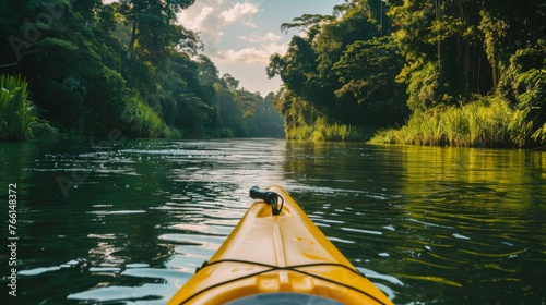 A serene view from a kayak navigating through a calm river surrounded by a dense tropical forest, reflecting a sense of adventure and tranquility.