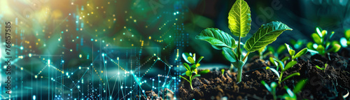 A green plant is growing in a field of dirt. The image is a combination of technology and nature, with the plant being the main focus. The technology is represented by the lines