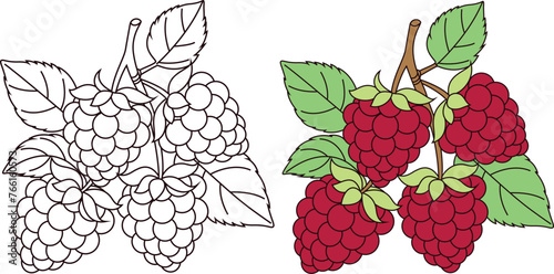 Cute Kawaii Raspberries Coloring Page Vector Illustration