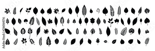 Big collection of leaves silhouettes. Hand drawn vector art.