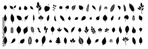 Big collection of leaves silhouettes. Hand drawn vector art.