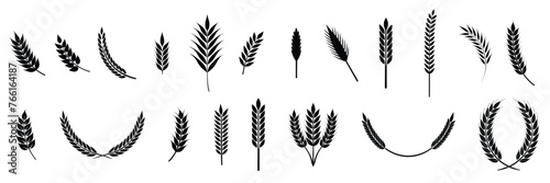Big collection of ear wheat silhouettes. Hand drawn vector art.
