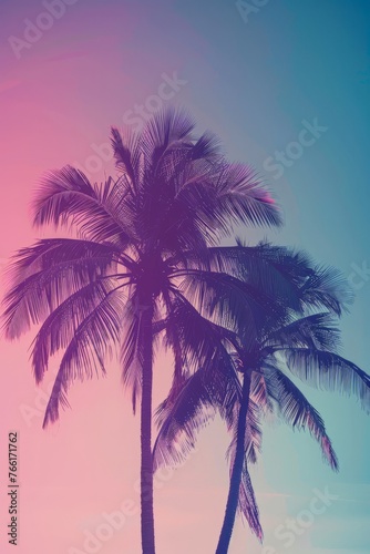A tall palm tree stands against a vibrant pink and blue sky in this scenic view