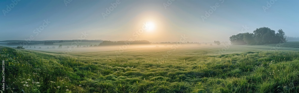 A foggy field with the sun shining in the distance, creating a hazy atmosphere over the grassy terrain