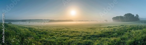 A foggy field with the sun shining in the distance  creating a hazy atmosphere over the grassy terrain