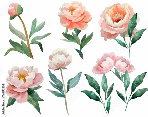 A collection of colorful flowers arranged neatly on a plain white background