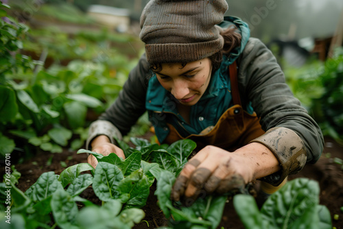 Young woman planting seedlings in vegetable garden. 