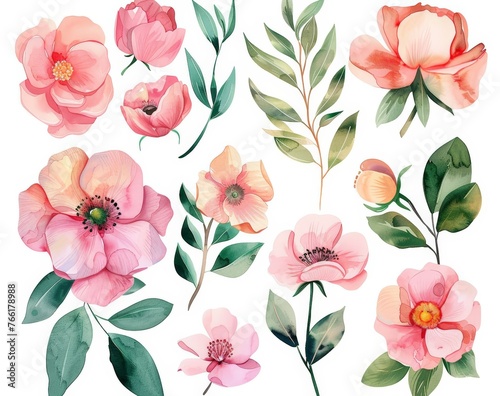 A collection of pink flowers displayed against a plain white backdrop