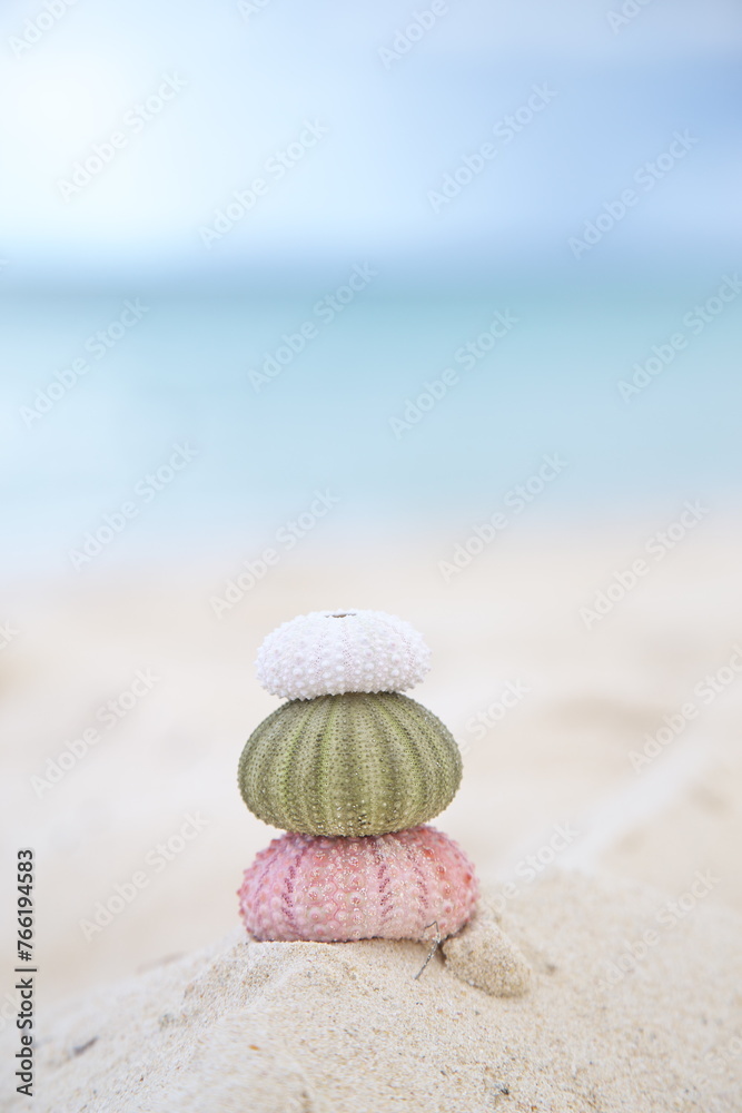 Obraz premium 砂浜の風景