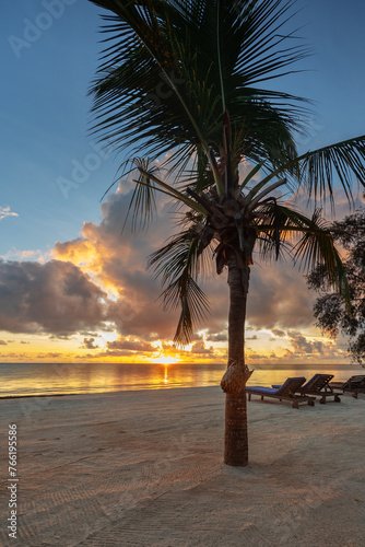 Sunrise mit Palmtree 