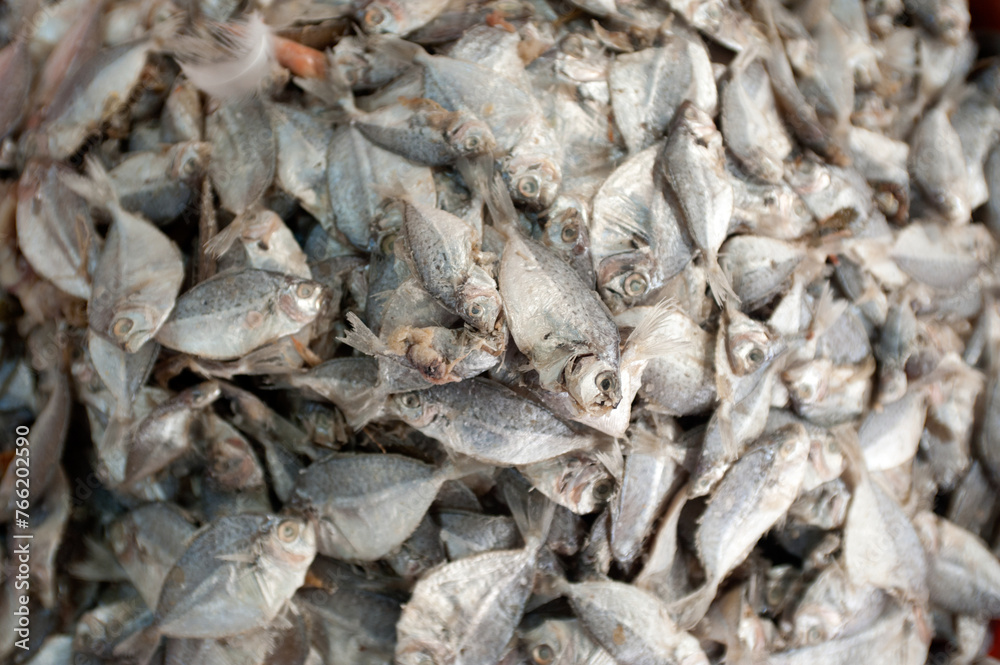 Dubai United Arab Emirates Fish market, Fish for sale. Dubai United Arab Emirates Fish market, Fish for sale.