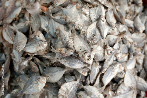 Dubai United Arab Emirates Fish market, Fish for sale.