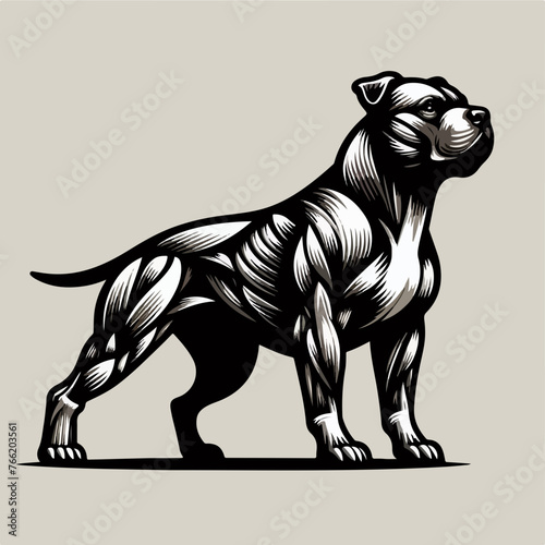 Mussle Pit Bull PitBull Terrier dog breed pet logo icon sticker tattoo ui