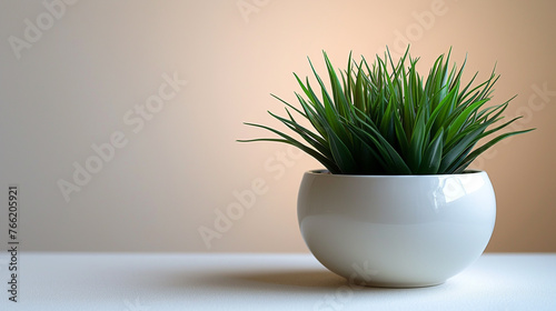 A green plant in a white pot on a white background.