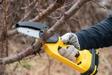 Gardener's hand cuts branch on a tree, with using small handheld lithium battery powered chainsaw. Season pruning. Trimming trees with chainsaw in backyard home. Season cut tree.