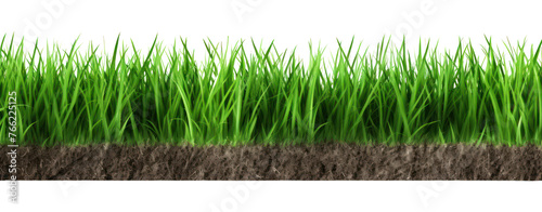 green grass turf isolated on white background photo