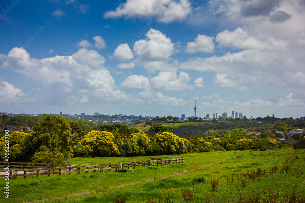 Landscape of an summer green field rolling down the hill toward a row of suburbian houses. Auckland CBD skyline visible on the horizon. Meadowbank, Auckland, New Zealand Landscape of an summer green field rolling down the hill toward a row of suburbian houses. Auckland CBD skyline visible on the horizon. Meadowbank, Auckland, New Zealand