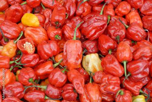 Amsterdam Zuid Oost Orange Madame Jeanette peppers for sale on the market. Madame Jeanettes are known for their heat and often used in the cuisine of Suriname.