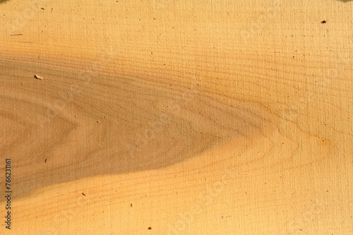 Plank of sawn timber photo