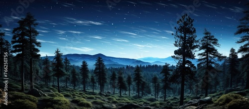 A natural landscape with mountains rising in the background, adorned with a canopy of trees under a starry sky with clouds drifting in the atmosphere at night