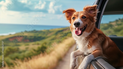 Dog travel by car, enjoying road trip, Happy dog with head out of the car window having fun, generative ai photo